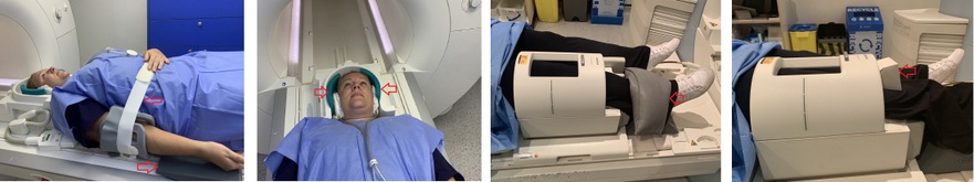 MRI positioning wedges