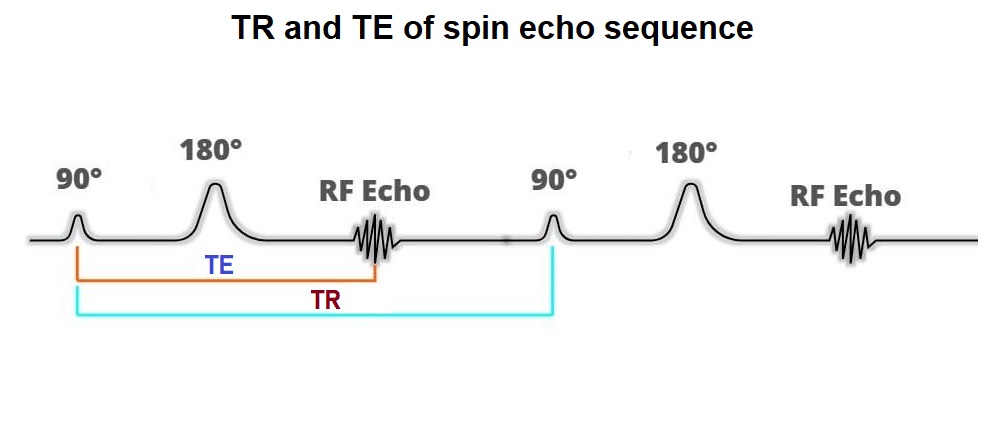 TR and TE of spin echo sequence